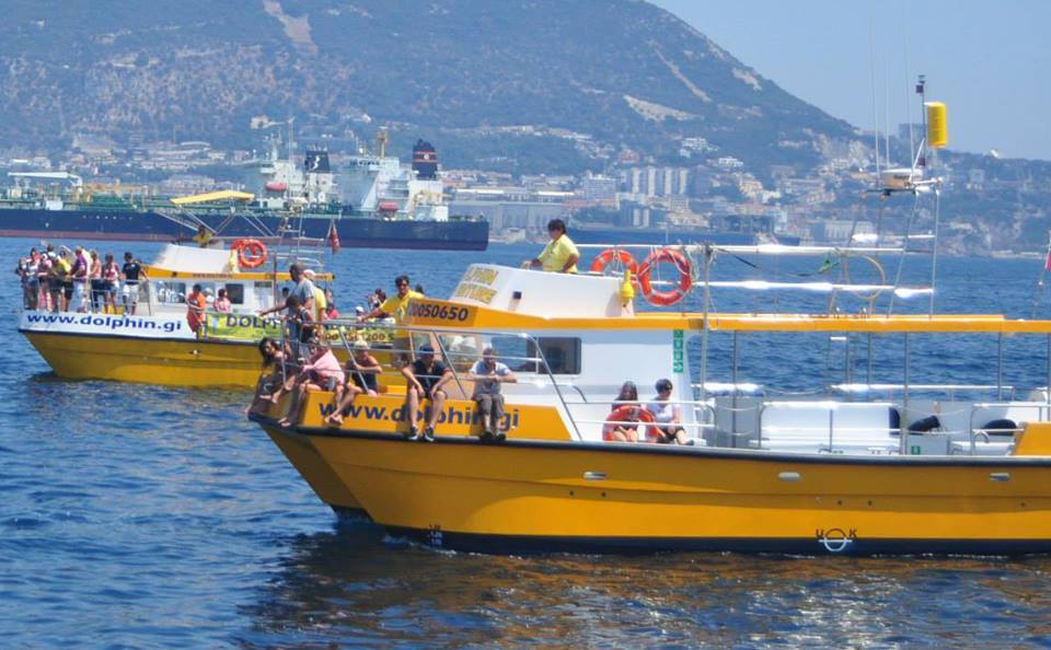 Yellow dolphin tour boat with passengers on a body of water with Gibraltar in the background