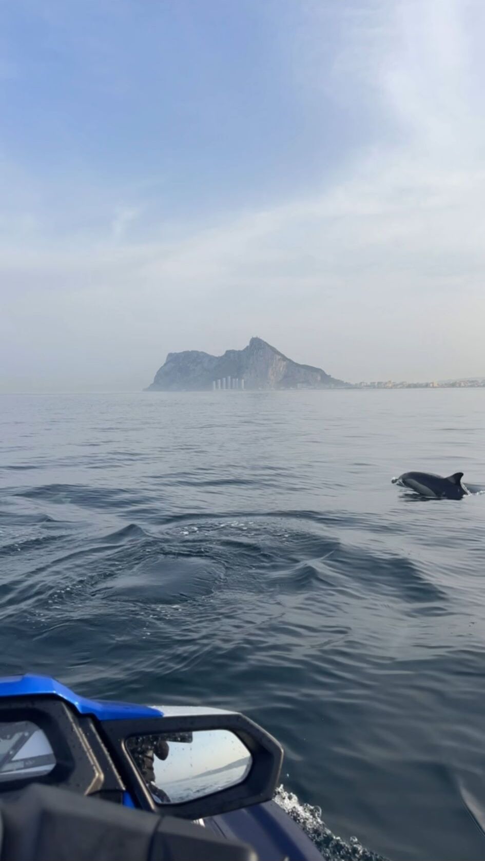 Dolphin swimming in the water with Gibraltar in the background on a jet ski